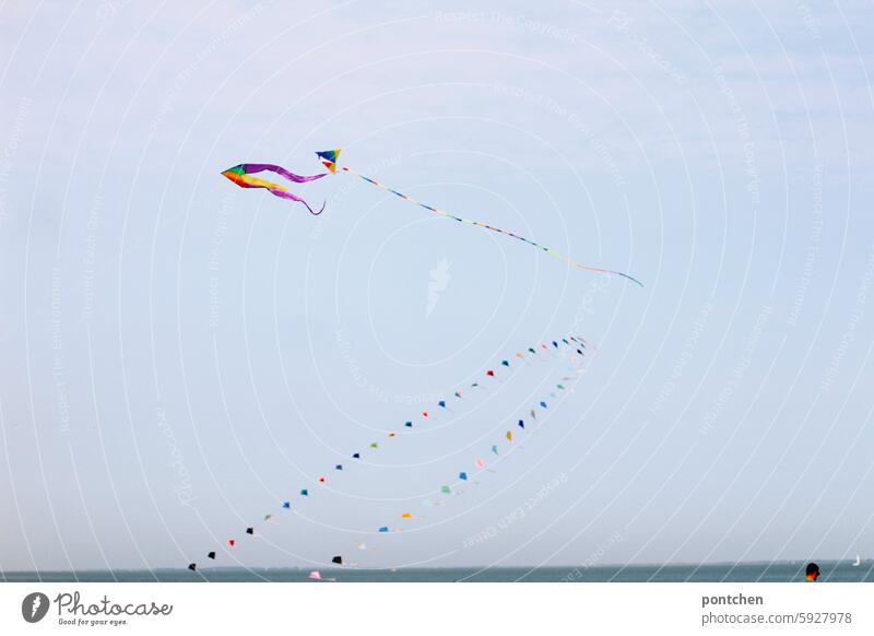 Kites and flags in the wind. North Sea windy Exterior shot Sky fun hobby Leisure and hobbies Flying Freedom Playing Joy