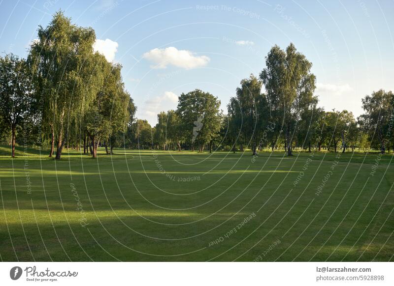 Peaceful Golf Course Landscape on a Sunny Day with lush green fairways and tall trees under a sunny sky. Perfect for showcasing the tranquility of nature, outdoor sports, and relaxation in a natural setting.