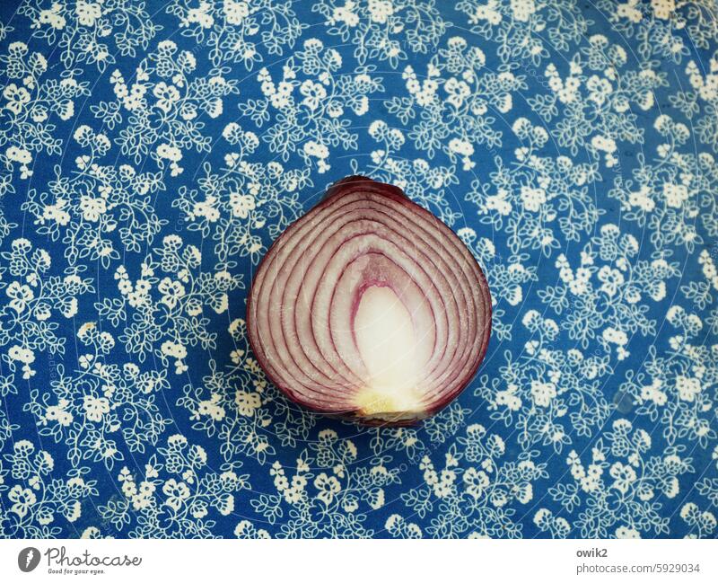 Some have a real chip on their shoulder Onion Food Nutrition Cut halved Structures and shapes Sliced onion layers red onion Half Vegetable Fresh Raw