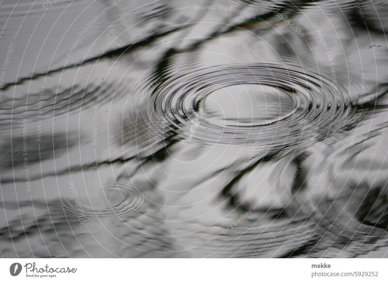 Blob | makes rings Water Reflection in the water Lake Calm Surface of water Water reflection Peaceful Nature Idyll Lakeside tranquillity Rain Drops of water