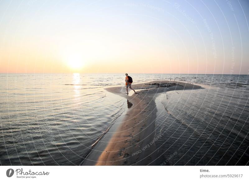 sandbank Evening Water Baltic Sea Sunlight Reflection Illuminate Wet Summer Vacation & Travel Relaxation Sky Sunset Beach coast Woman Going Sandbank