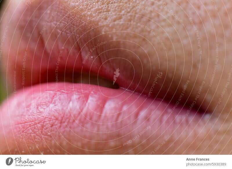 Closeup shot of slightly parted lips of a female Lips Close-up Mouth Macro (Extreme close-up) Teeth Red Detail Woman Lipstick Pink Feminine Human being Skin