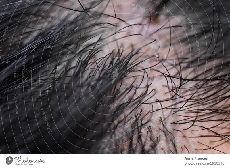 closeup of a young woman's scalp with black hair Macro (Extreme close-up) macro dark hair head Close-up Detail Hair and hairstyles hair strand Strand of hair