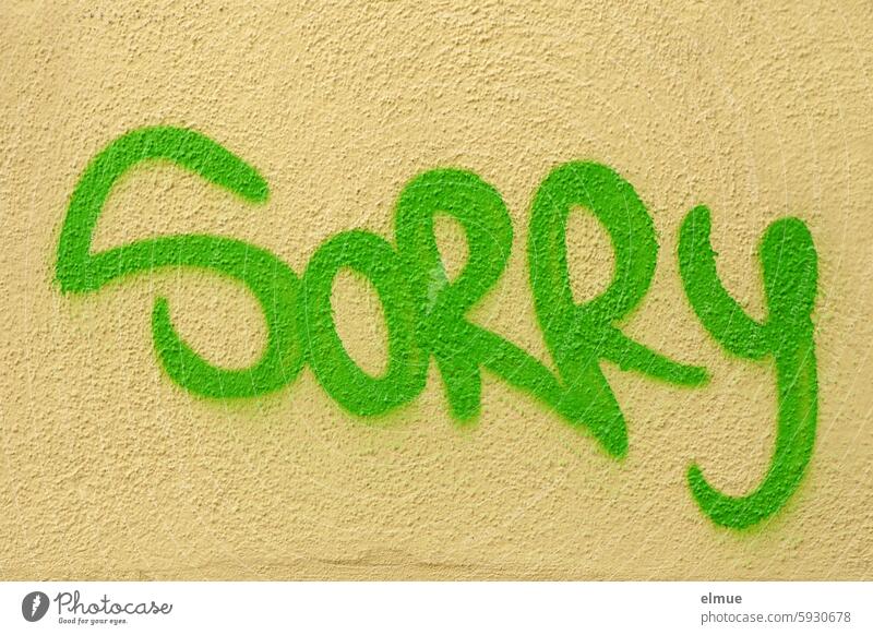 SORRY is written in bright green letters on the wall sorry Apology politeness Graffiti Bright Green house wall Blog English Street art Youth culture Lifestyle