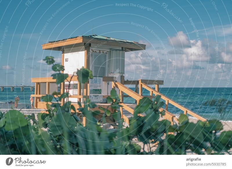 Lifeguard house on Sunny Isles Beach with bush in the foreground Florida July Miami USA Lifeguard hut Baywatch