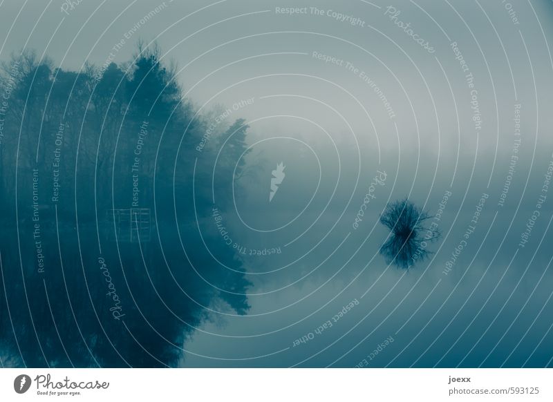 The slow forgetting Nature Landscape Horizon Autumn Weather Fog Forest Lake Esthetic Cold Blue Romance Calm Sadness Death Idyll Decline Past Transience