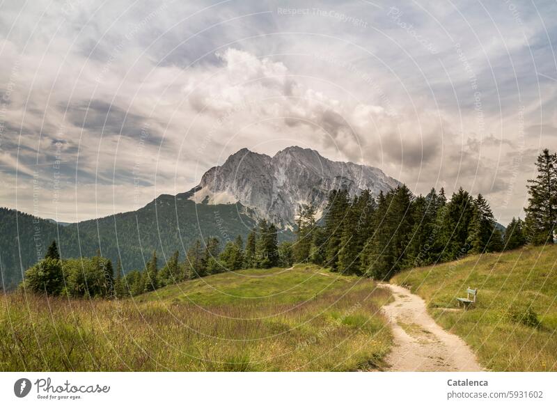 The way to the Wetterstein Nature Mountain Peak daylight Environment Vacation & Travel Day trees Landscape Tourism Hiking mountains wide Summer fir forest