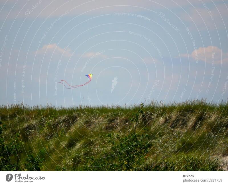 Flying rainbow kites coast Beach Baltic Sea Infancy climb the kite Wind Sky stage Toys Dike Summer vacation Rainbow Prismatic colors Rainbow flag Tolerant