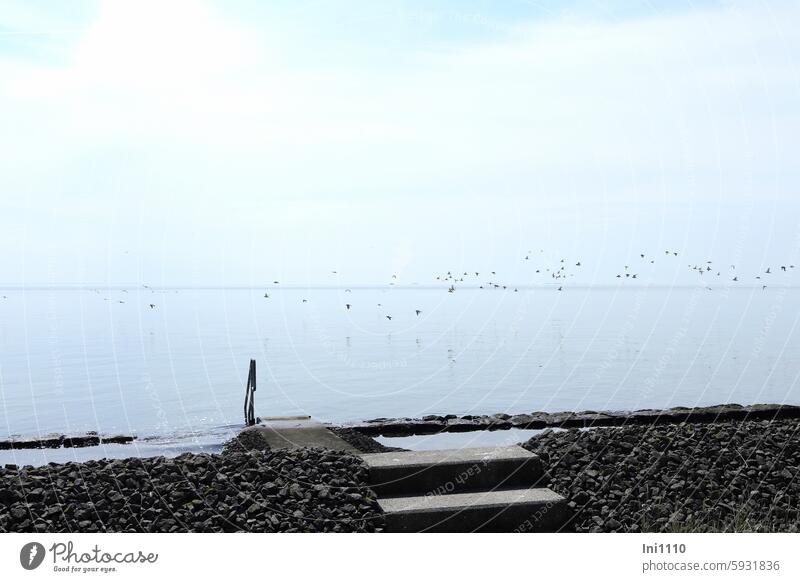 Hallig Gröde | Natural bathing area at high tide Summer North Sea Ocean watt Mud flats Lake calm calm sea windless smooth sea coastal protection stone wall