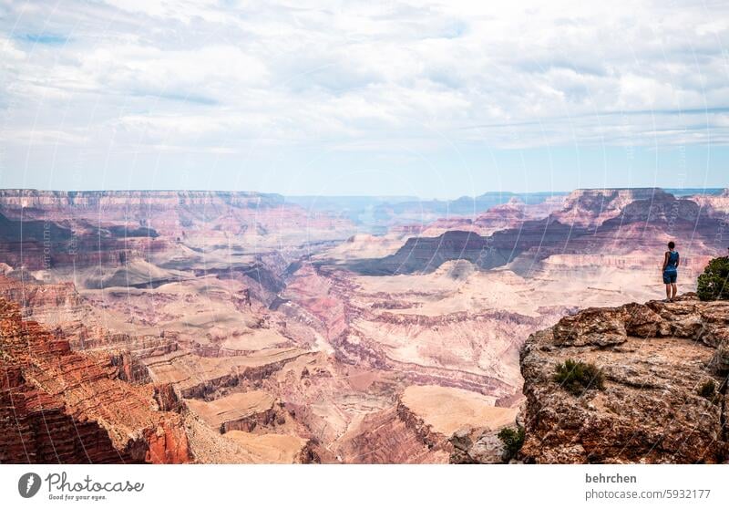 overwhelmed Vantage point Rock Colorado River stunningly Overpowered Nature Grand Canyon Far-off places Vacation & Travel Sky Freedom Americas USA Fantastic