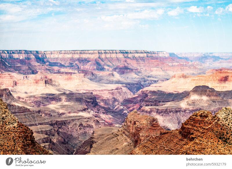 on the road in arizona Wanderlust Arizona endlessness In transit Landscape Exceptional Fantastic USA Americas Sky Grand Canyon Nature Overpowered stunningly