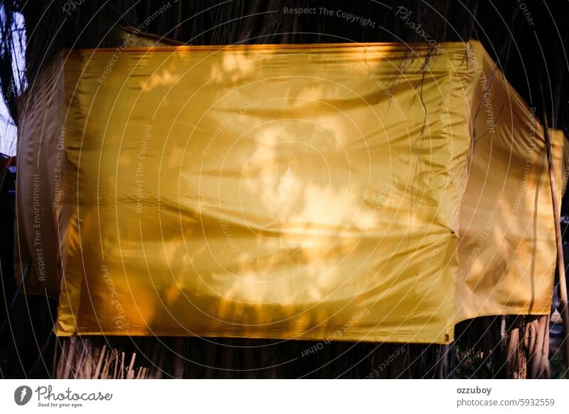 close up of shadows of branches and leaves on a yellow cloth wrapped around a banyan tree nature no people plant abstract leaf outdoors summer decoration