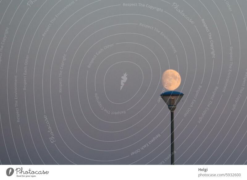 Extraordinary lantern light Moon Lantern Sky Evening Twilight Dusk Illuminate Light Dark Deserted Exterior shot Lighting Lamp streetlamp Lamp post Colour photo