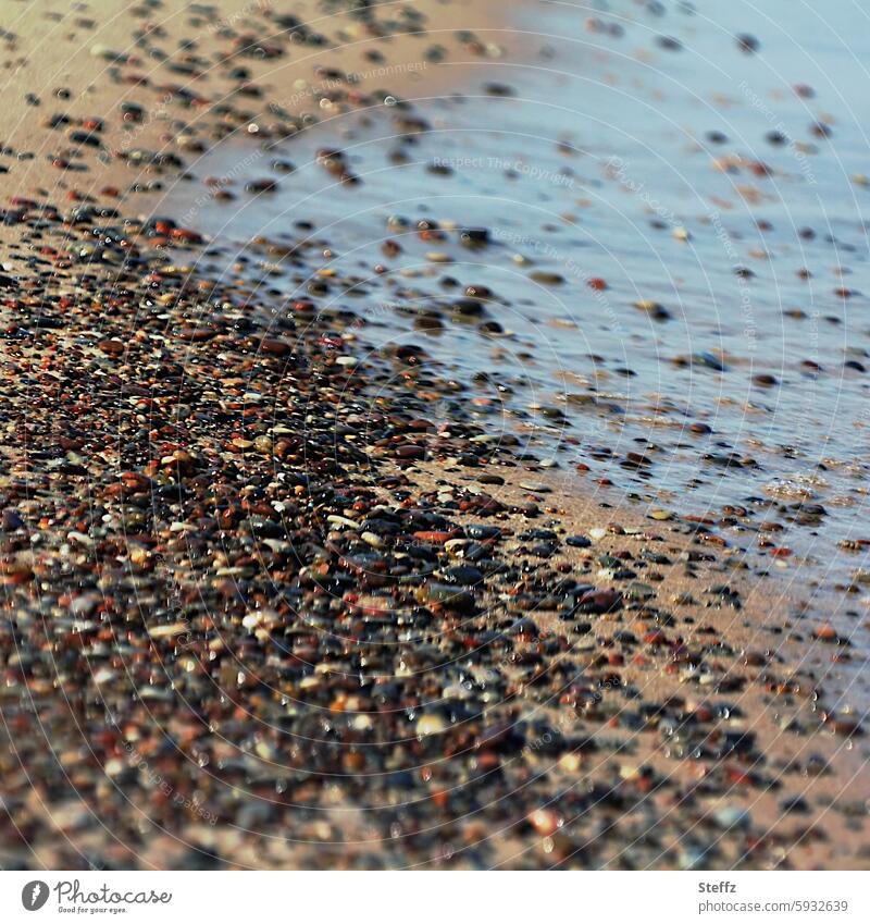 aground Baltic beach Baltic Sea holiday stones Stranded Many variegated coloured stones Pebble beach Beach Stony Walk on the beach Baltic coast Beach stones