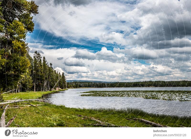 cloud stories Adventure Nature Colour photo Wanderlust Far-off places wide Vacation & Travel Sky Landscape Wyoming Yellowstone National Park Americas USA