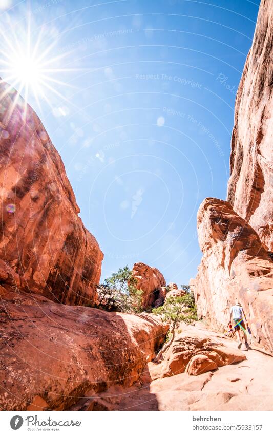 utah solar star Sun Sky Impressive Rock Arches National Park Utah Far-off places Vacation & Travel Americas USA Exceptional Wanderlust Adventure Landscape