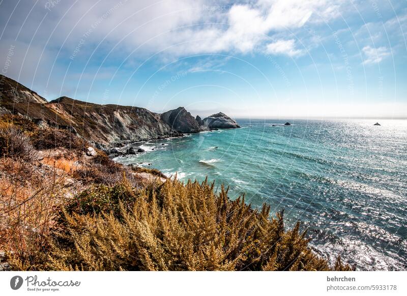 Big Sur Sunlight California big sur Freedom Far-off places Vacation & Travel Americas USA coast Ocean Exceptional Fantastic Water Sky Waves Landscape Beach