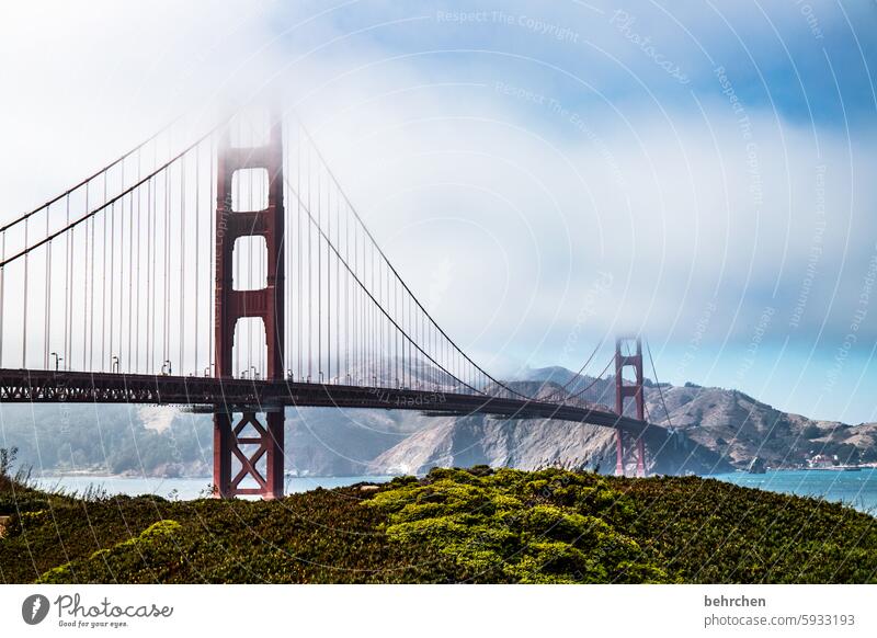 Beauty & Beauty Water California Attraction Tourist Attraction Architecture Bridge Landmark Golden Gate Bridge Fog Exceptional Fantastic USA San Francisco Sky