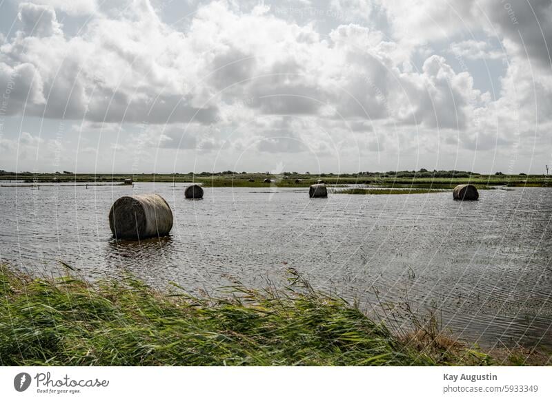 straw bale After the storm surge storm tide Bale of straw Hay bale North Sea Sylt island North Sea coast Clouds Nature flora Botany Summer Agriculture Ocean