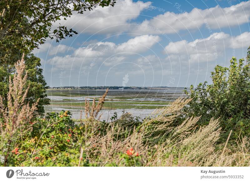 outlook On the wading bank Wading bank North Sea bench relax salt marshes coast Nature wide North Sea Islands Mud flats Wadden Sea National Park