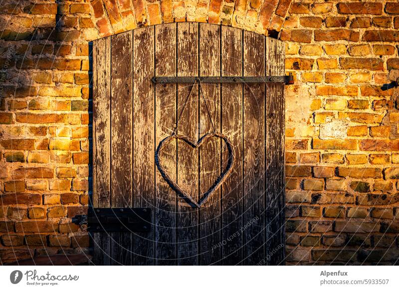 Golden Gate Heart Love Sunset golden hour door Goal Evening Exterior shot Sunlight Summer Colour photo Twilight Sincere Light Dusk Sunbeam Passage Warm light