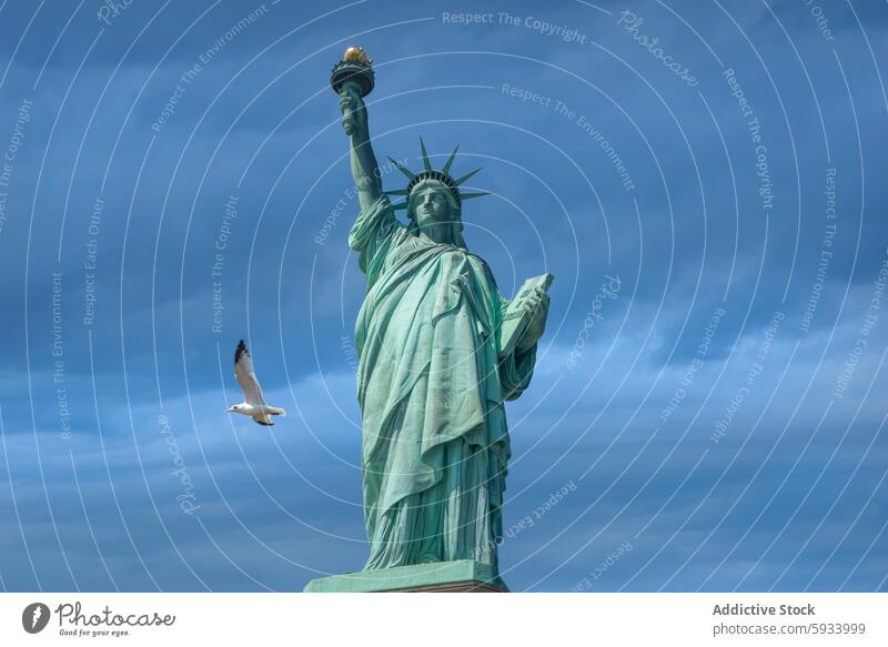 Iconic Statue of Liberty with a seagull flying by statue liberty sky blue manhattan new york freedom iconic landmark tourist attraction america usa monument