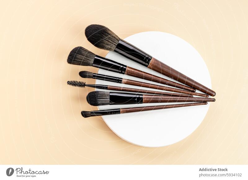 Variety of Make-up Brushes on Pastel Background make-up brush top view beauty tool cosmetic pastel background plate professional essential powder eyelash