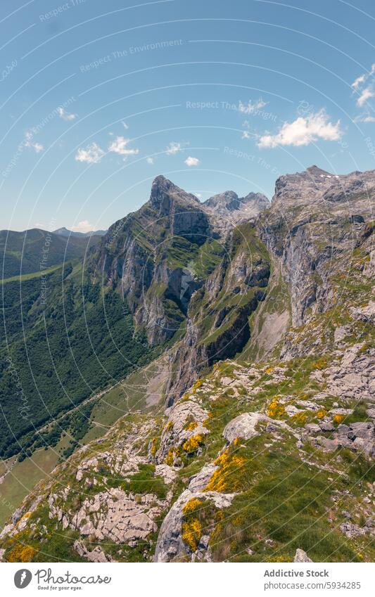 Majestic views of Picos de Europa mountain ranges in summer peak valley landscape picos de europa green rugged outdoor nature faceless sky blue lush cantabria