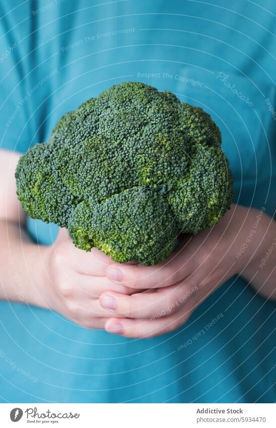 Child holding a large broccoli in their hands child vegetable green fresh healthy nutrition close-up texture vibrant turquoise background freshness food organic