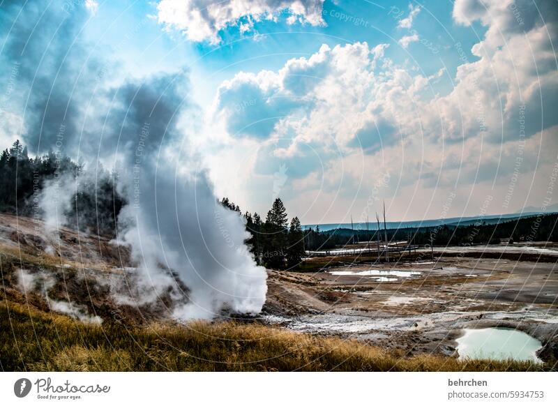 jack of all trades especially Impressive Wanderlust Nature Exceptional Fantastic Far-off places Vacation & Travel Americas Yellowstone National Park Wyoming USA