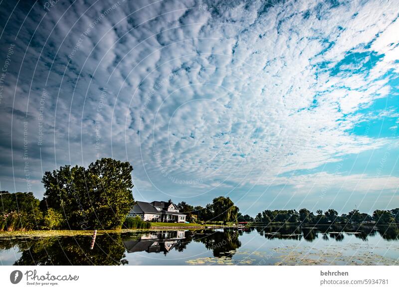 cloud suction Reflection wide Far-off places Wanderlust especially Vacation & Travel Fantastic Nature Landscape Lake trees Clouds Americas Warsaw Idyll USA