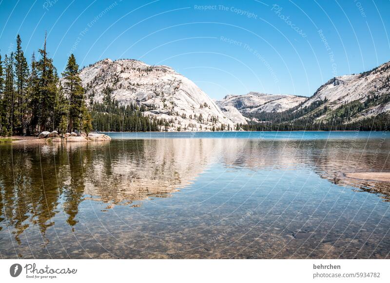 The lake rests still Nature Vacation & Travel Rock Sky Mountain Landscape travel yosemite Yosemite National Park California Americas USA Lake silent reflection