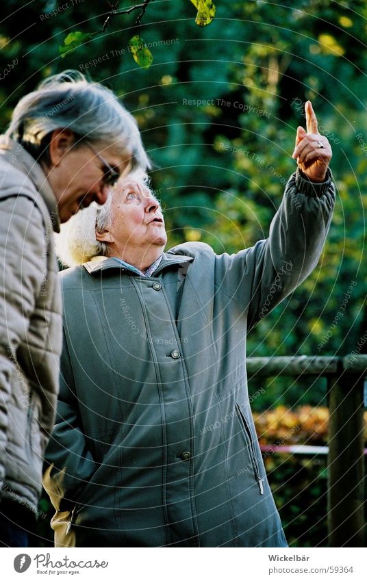 Our stork couple are coming back! Grandmother Direction Fingers Bird Indicate Sky To go for a walk Discover