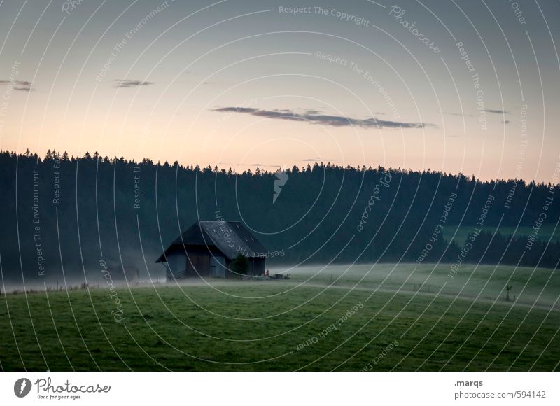 Good morning Black Forest Environment Nature Landscape Elements Sky Horizon Spring Beautiful weather Fog Meadow Hut Old Fresh Relaxation Idyll Rural