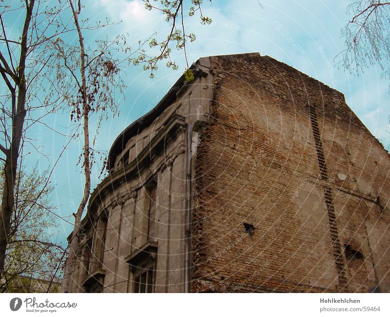 Pension "The Golden Spoon" House (Residential Structure) Villa Ruin Tumbledown Redecorate Wall (barrier) Wall (building) Brick Derelict Column Spook