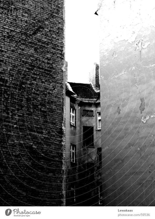 Wedged in House (Residential Structure) Building Wall (building) Backyard Window Light Rustic Gloomy Black White Stone Living or residing Farm Construction site