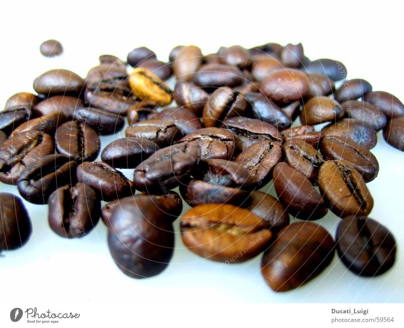 espresso Espresso Coffee Café Beans Coffee bean Near Brown Macro (Extreme close-up) Cappuccino illy Aromatic Odor Close-up Perspective