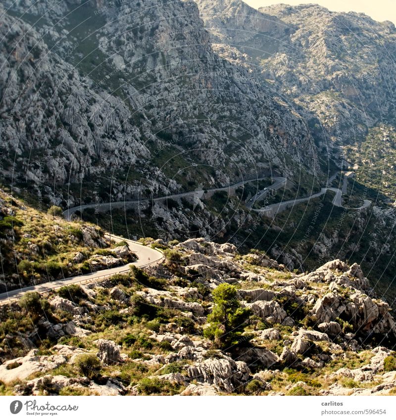 Uphill or downhill ? Elements Summer Beautiful weather Tree Bushes Rock Mountain Driving Gigantic Gray Green Wanderlust Adventure Effort Loneliness