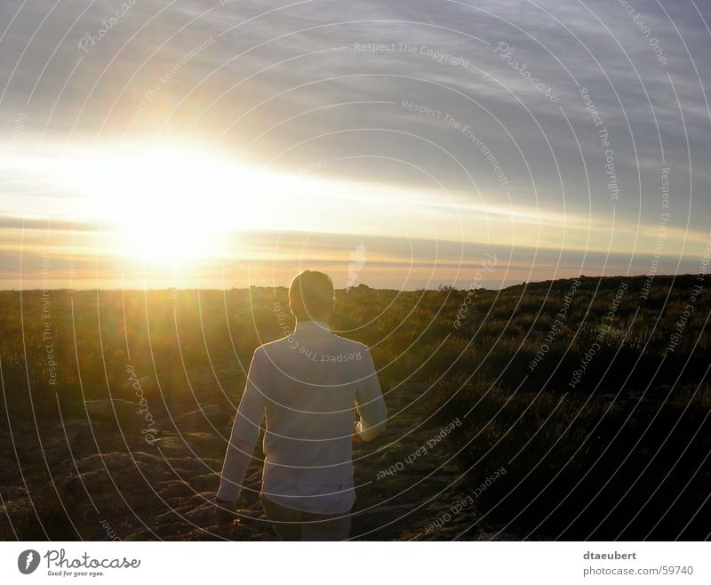 sunset walk Sunset Yellow Cape Town White Summer Romance Sky Blue Human being Gold Stone Mountain