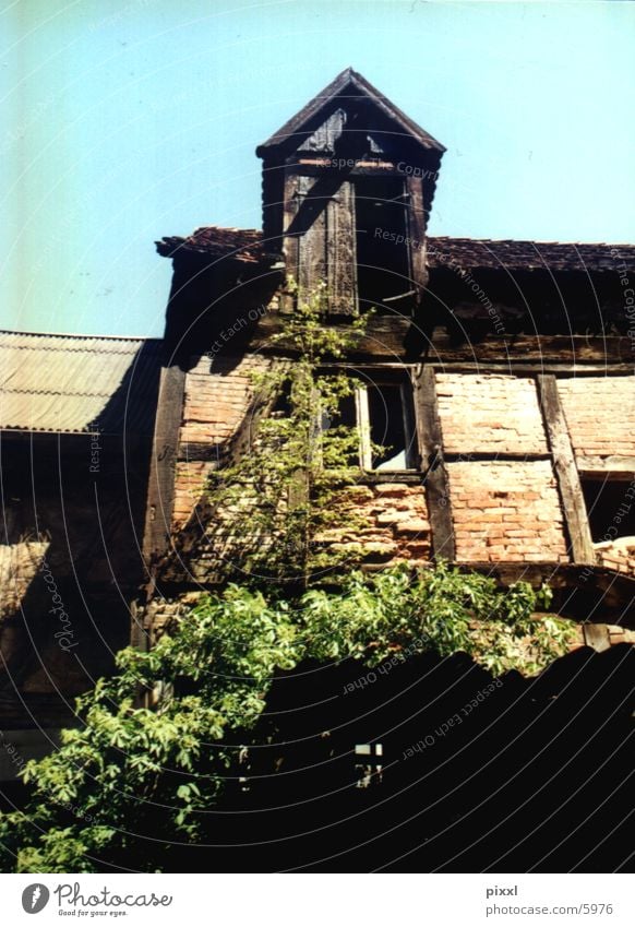 backyard Backyard Ruin Architecture old house half-timbered building