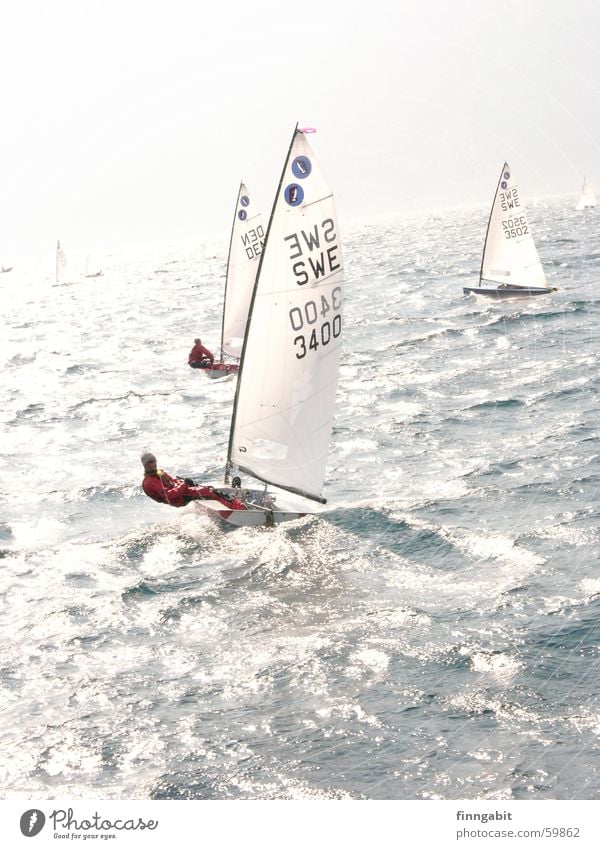 lago di garda Sailing Sailboat Lake Lake Garda Water