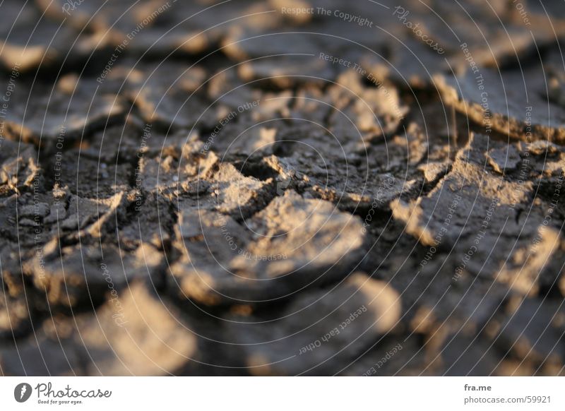 earth crust Light Blur Crust Dry Earth Wood grain Structures and shapes Shadow Floor covering Dirty dirt Close-up ground