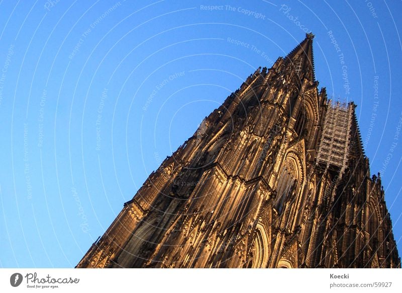 Hey Kölle du bis e Jeföhl Colour photo Exterior shot Deserted Copy Space left Day Twilight Light Silhouette Summer Sun Sky Cloudless sky Beautiful weather