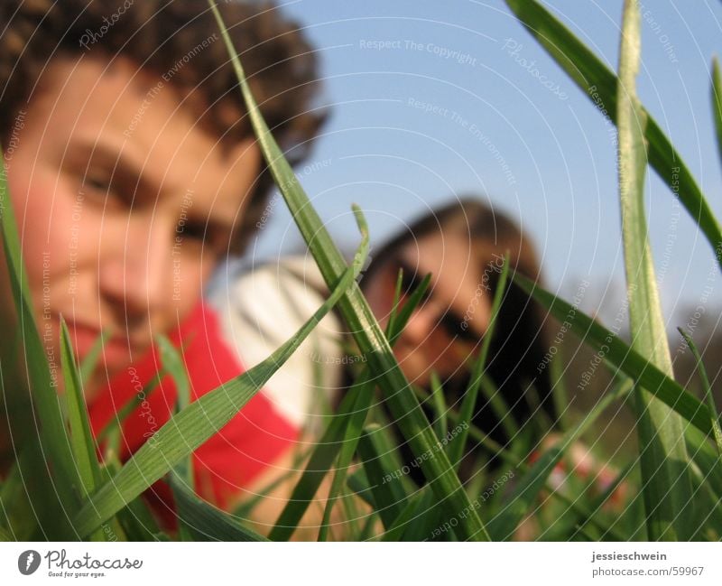 grass whispering Grass Meadow Park Picnic Weimar Spring Free goethepark Sun