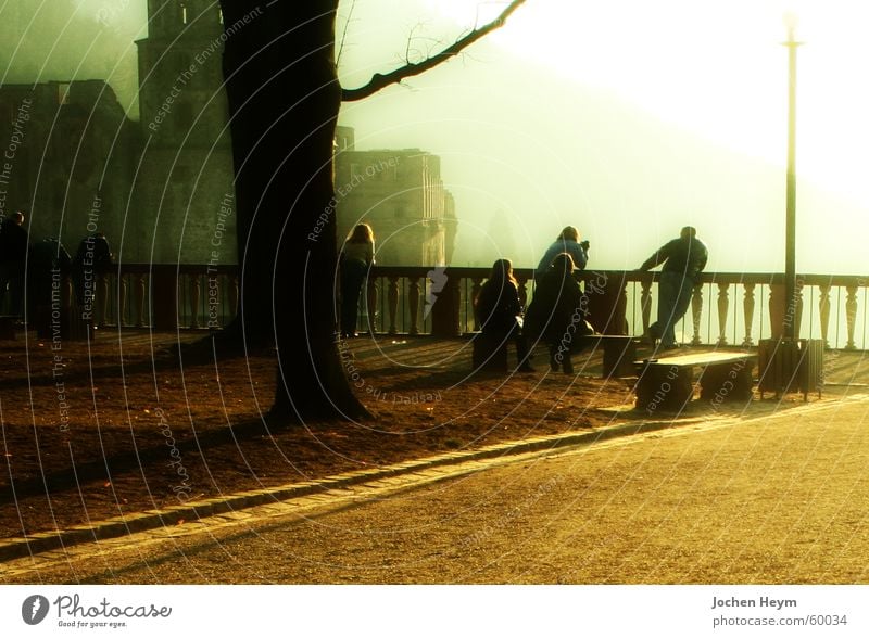 Heidelberg Castle Fog Tourist Territory Wall (barrier) Back-light Shadow Vantage point Sightseeing