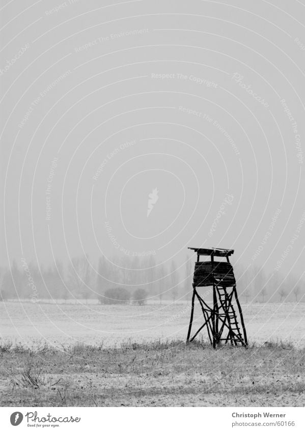 Lonely Field Brandenburg Kirchmöser Calm Vantage point Meadow Loneliness Snow Winter Landscape Freedom Grief Exterior shot Black & white photo Distress Forester