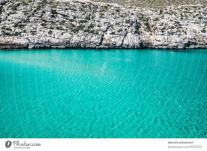 the other day at Malle Vacation & Travel Summer Summer vacation Ocean Island Waves Swimming & Bathing Water Coast Bay Blue Turquoise Multicoloured Exterior shot