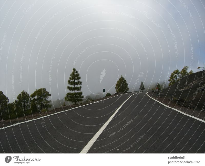 cloud trail Clouds Tree Lanes & trails Street Landscape Stone Sky