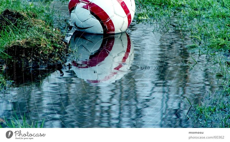 ...fallen into the water Grass Reflection Ball Water Water reflection Puddle Sludgy Foot ball 1 Deserted Exterior shot Colour photo Wet