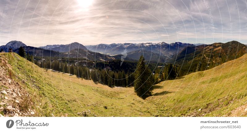 Blaubergalm View Environment Nature Landscape Sky Sunlight Summer Beautiful weather Tree Alps Mountain Peak Relaxation Walking Hiking Adventure Colour photo